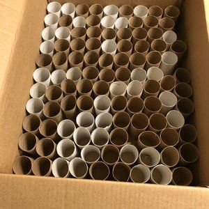 100+ Empty Toilet Paper Rolls for Crafting